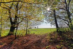 Blick ins offene Feld