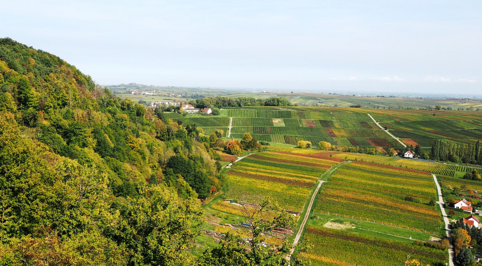 Blick ins Pfälzer Land