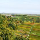 Blick ins Pfälzer Land