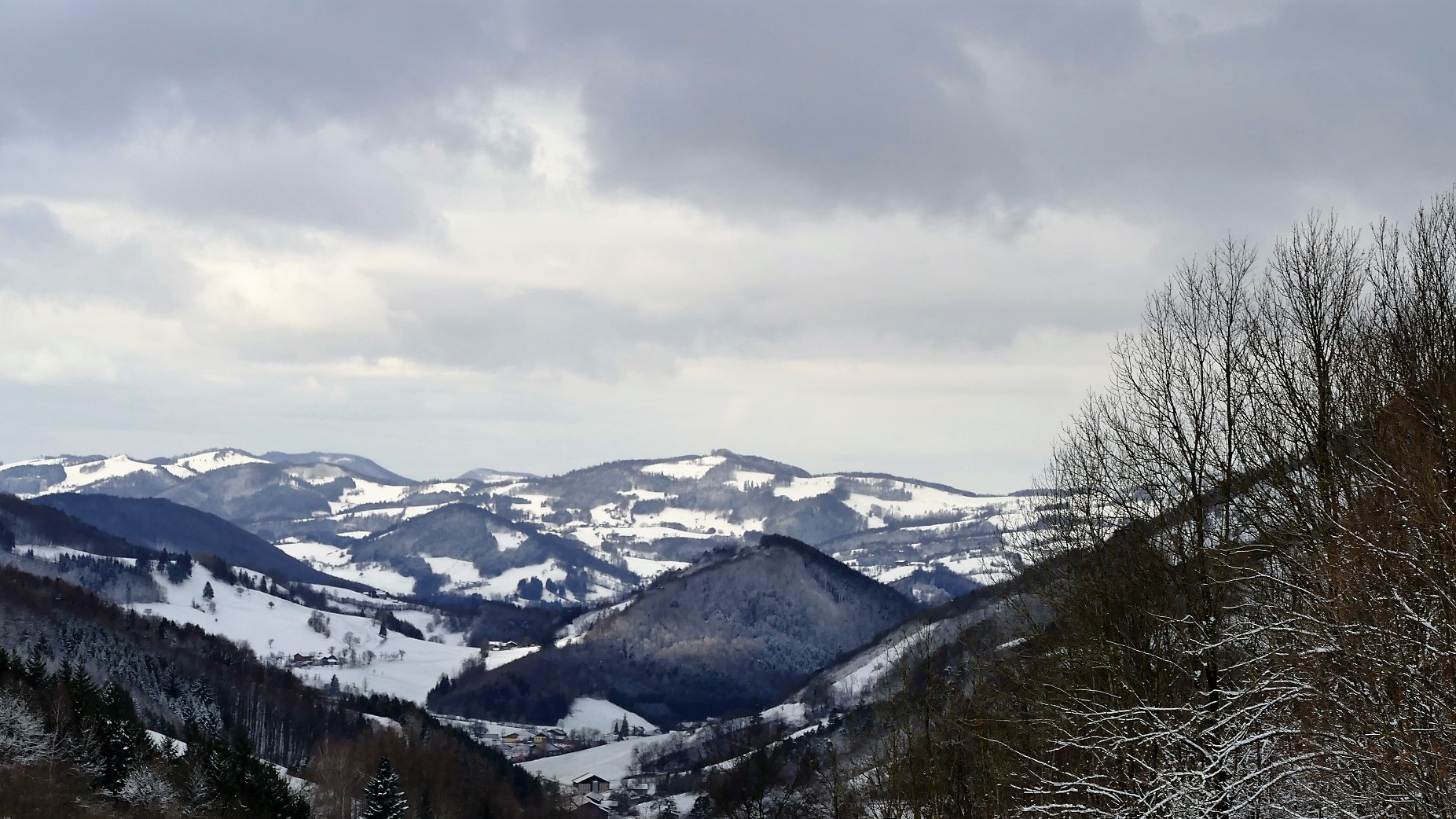 Blick ins Pielachtal / NÖ.