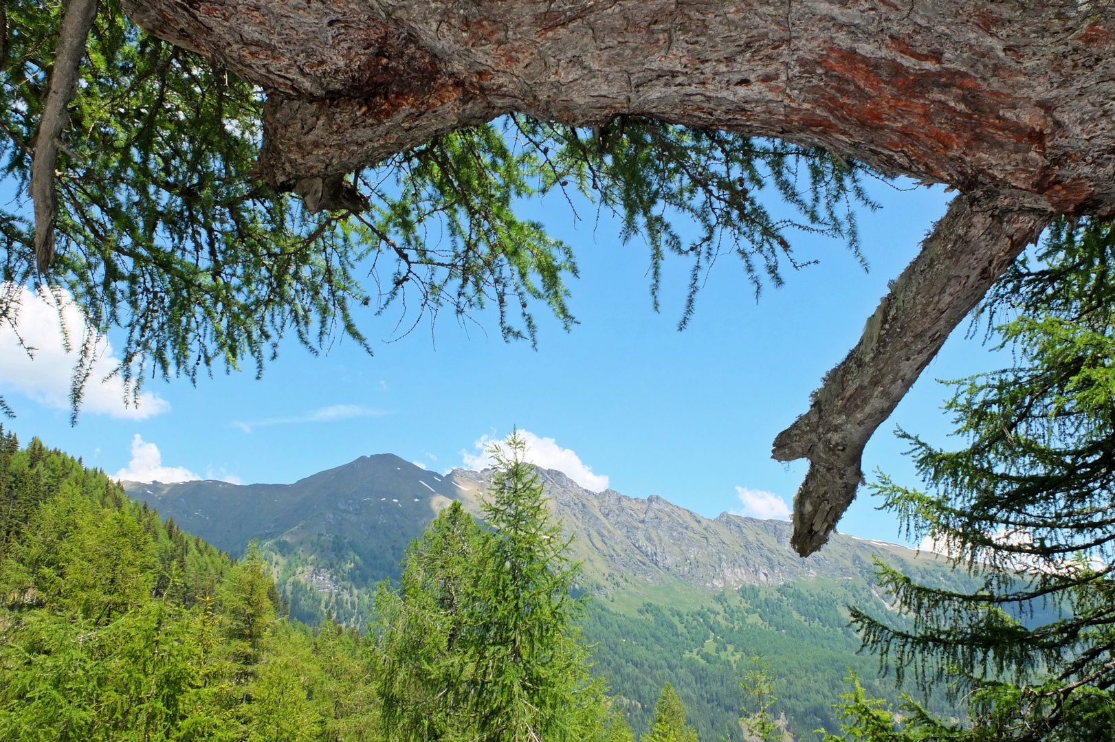 Blick ins Pöllatal / Kärnten