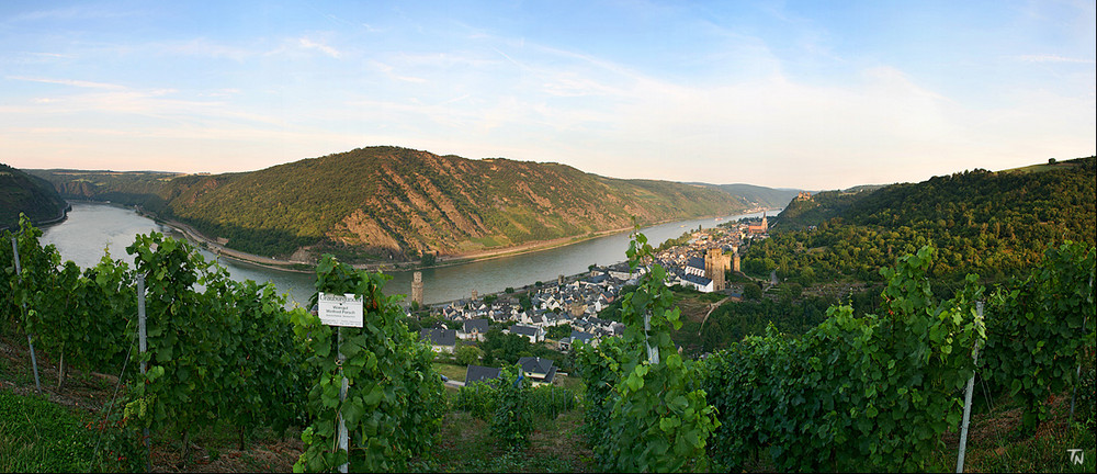 Blick ins Rheingau