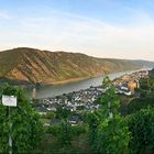 Blick ins Rheingau