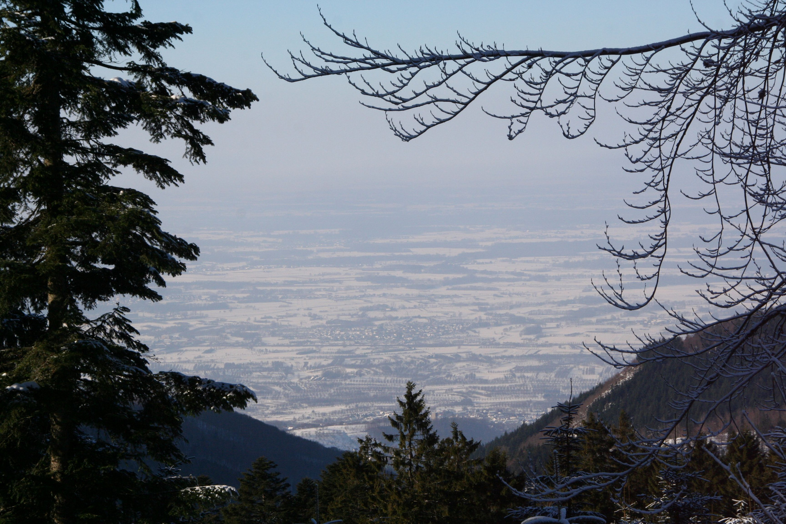 Blick ins Rheintal