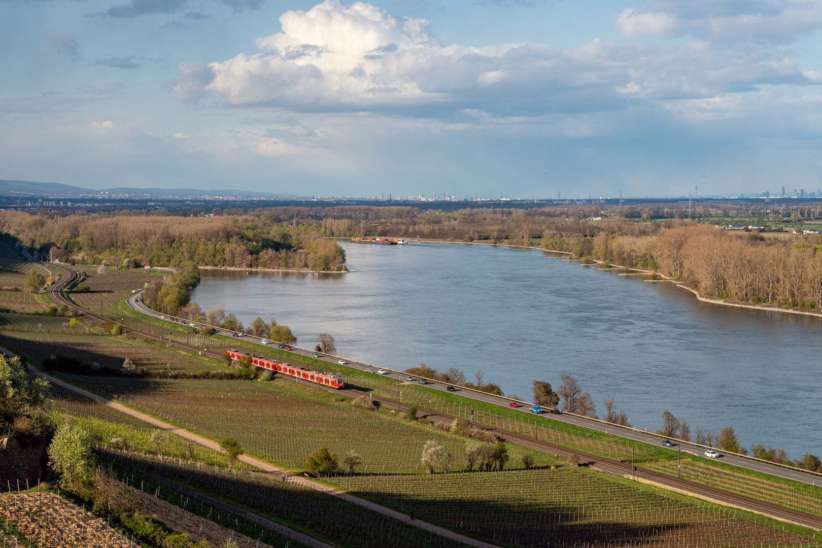 Blick ins Rheintal