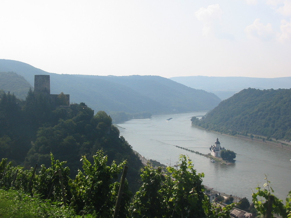 Blick ins Rheintal bei Kaub