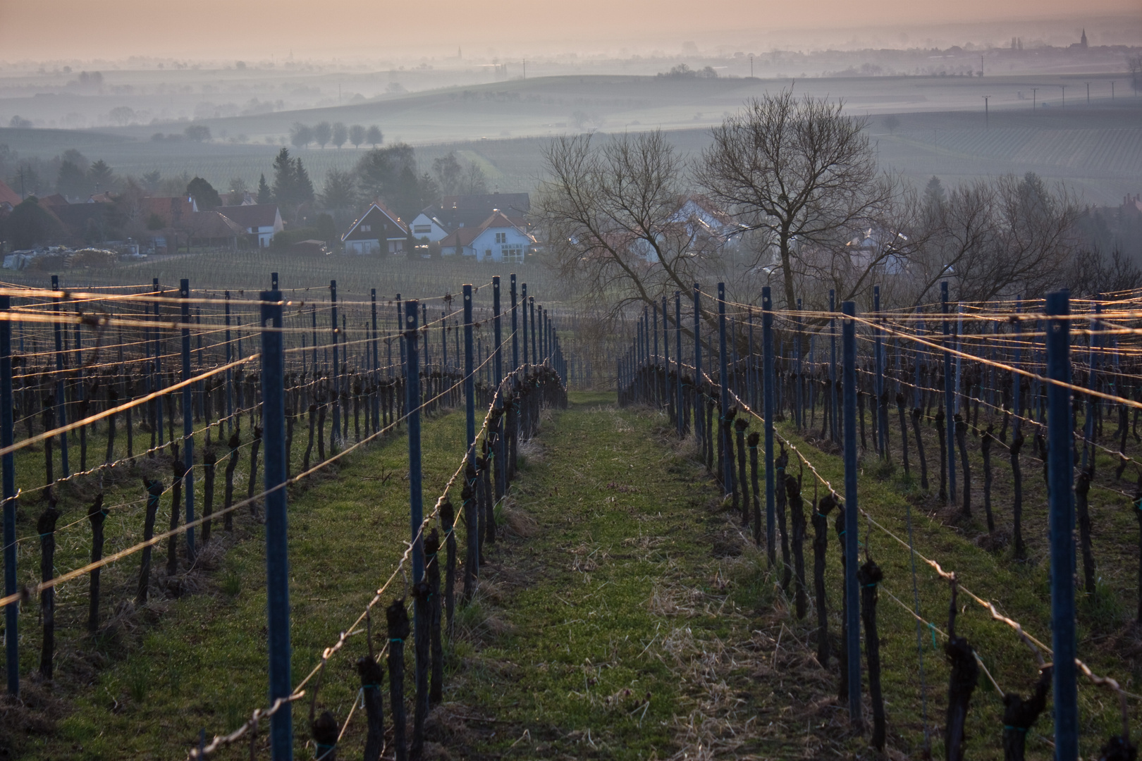 Blick ins Rheintal