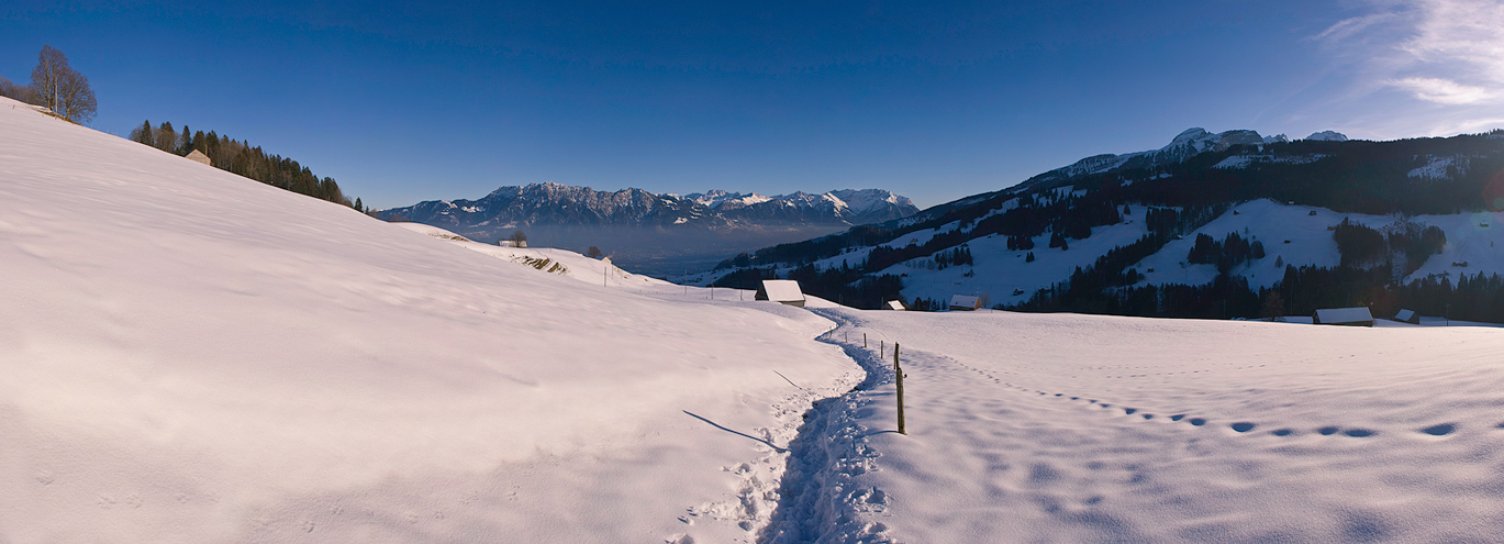 Blick ins Rheintal