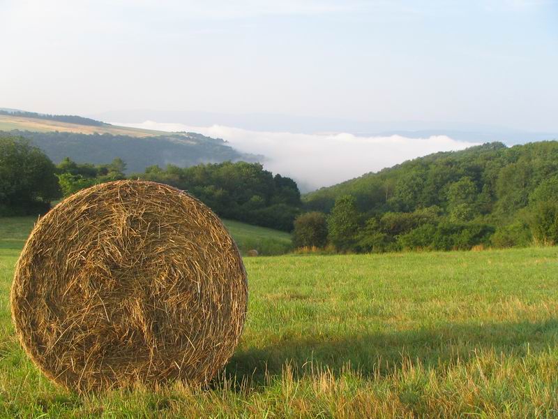 Blick ins Rheintal Früh um 6