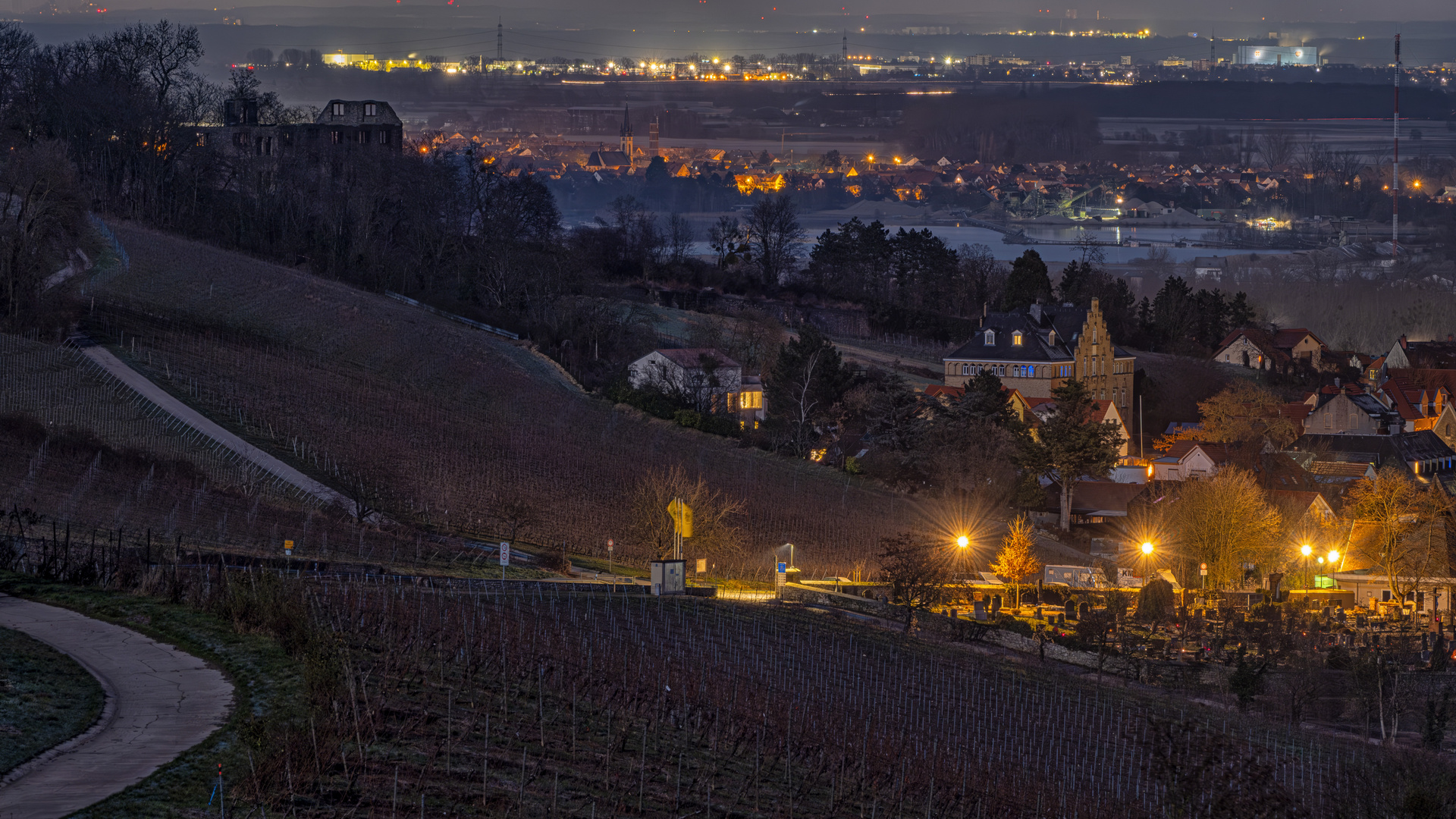 Blick ins Rheintal von Oppenheim