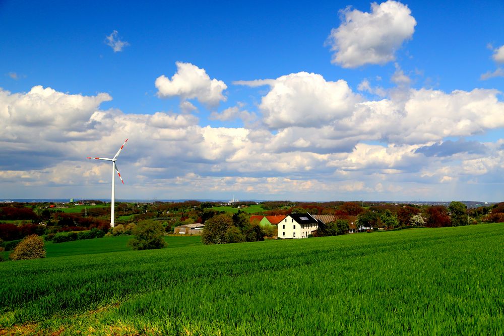 Blick ins Ruhrtal