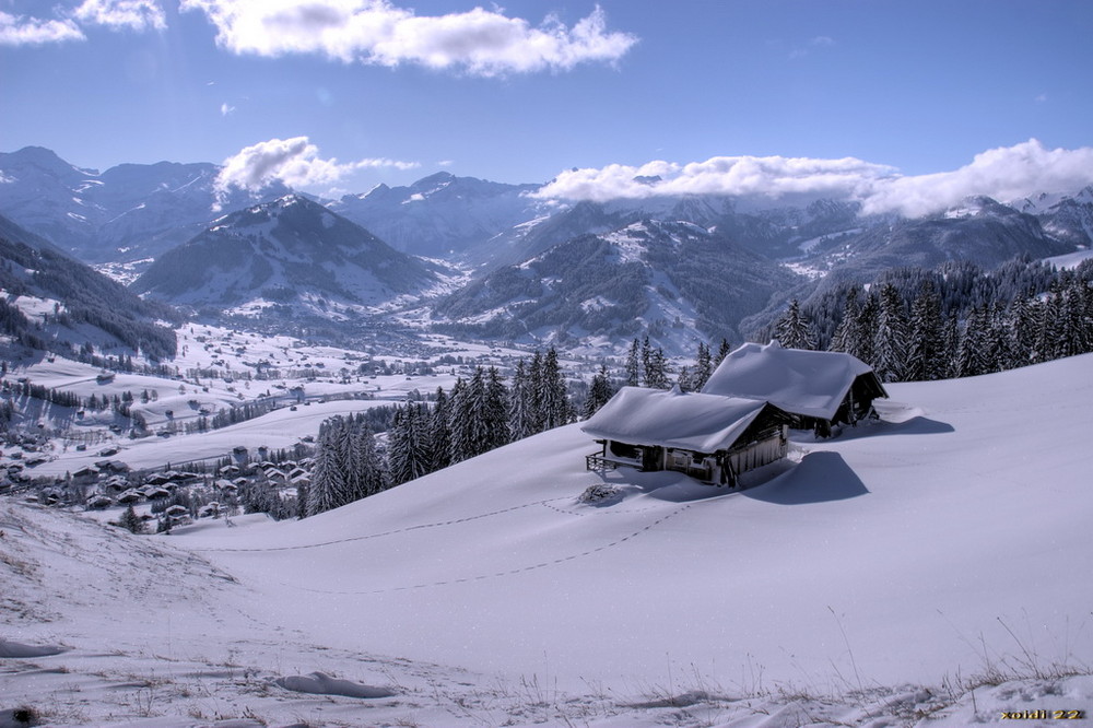 Blick ins Saanenland