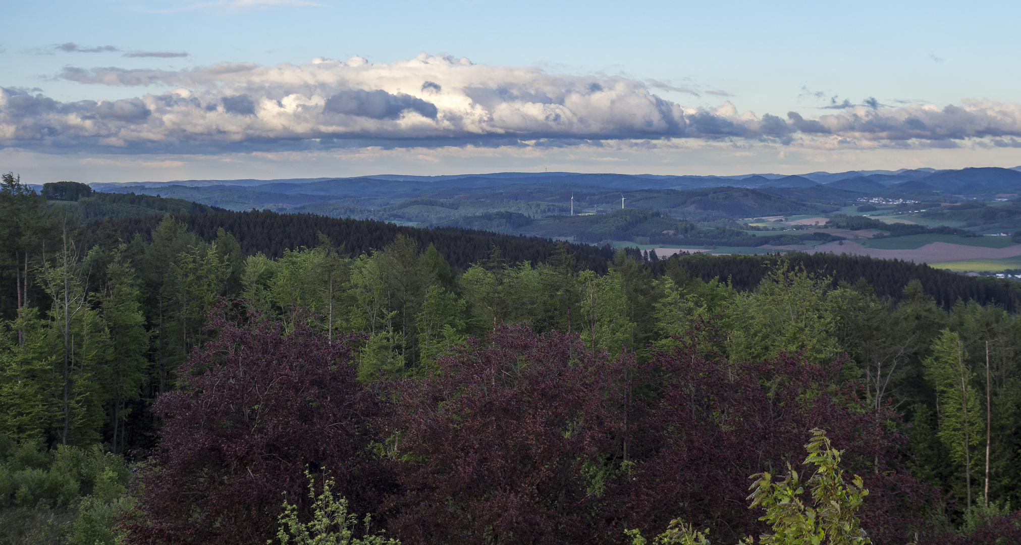 Blick ins Sauerland