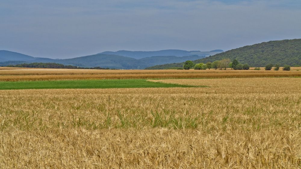 Blick ins Sauerland