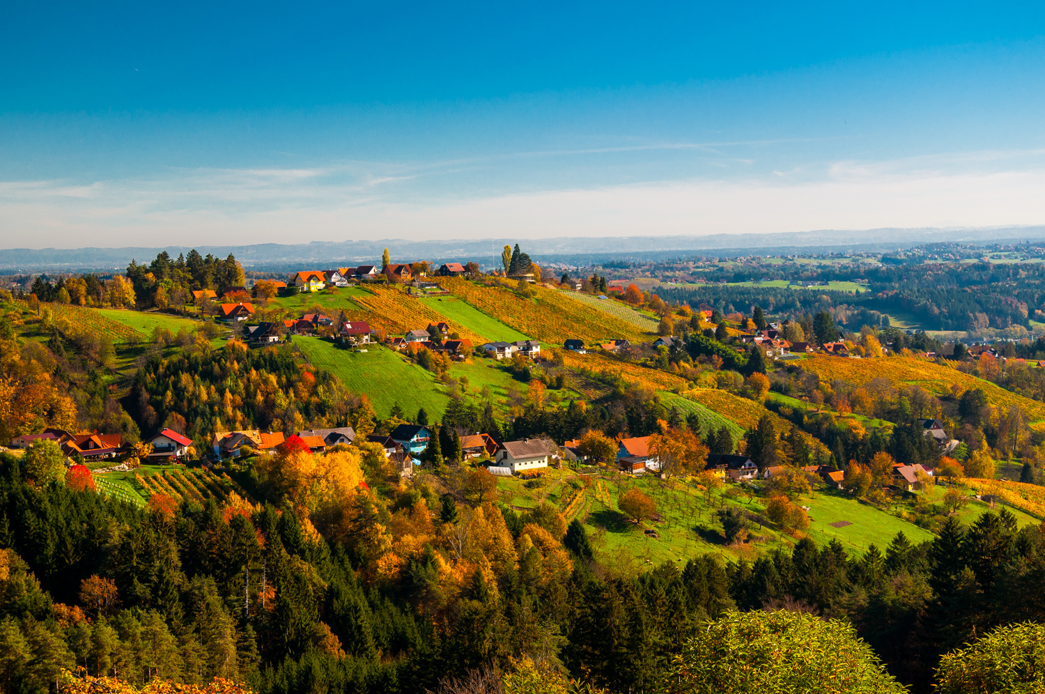 Blick ins Schilcherland