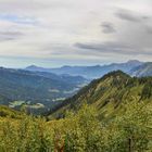 Blick ins Schwarzwassertal