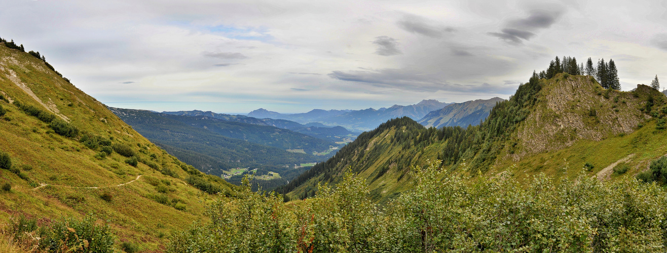 Blick ins Schwarzwassertal