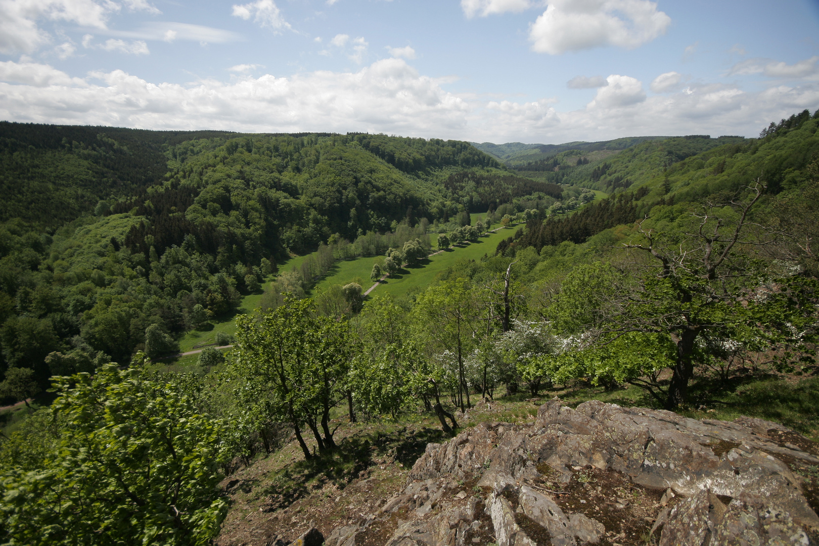 Blick ins Selketal