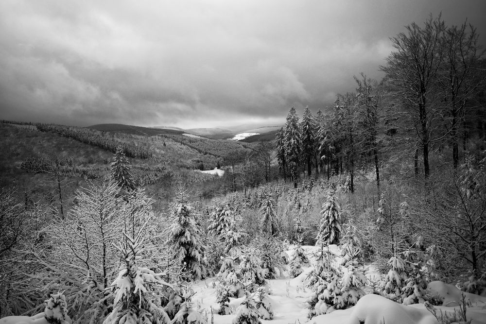 Blick ins Siegerland