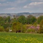 Blick ins Siegtal