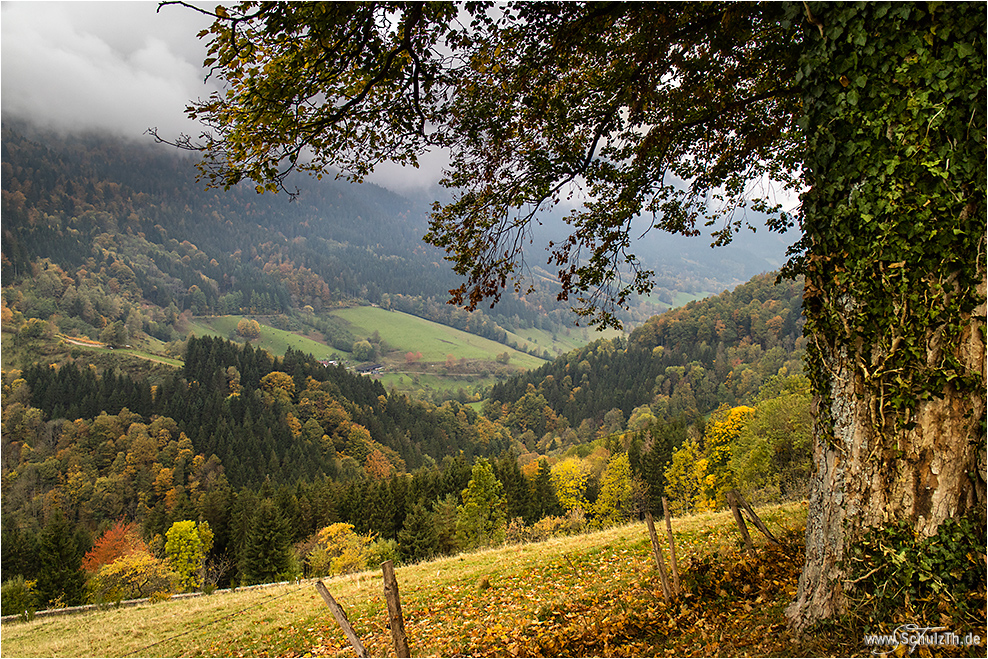 Blick ins Tal