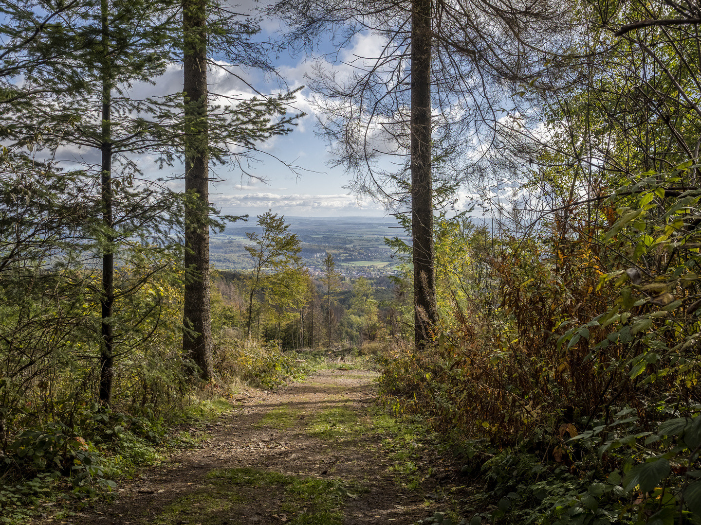 Blick ins Tal