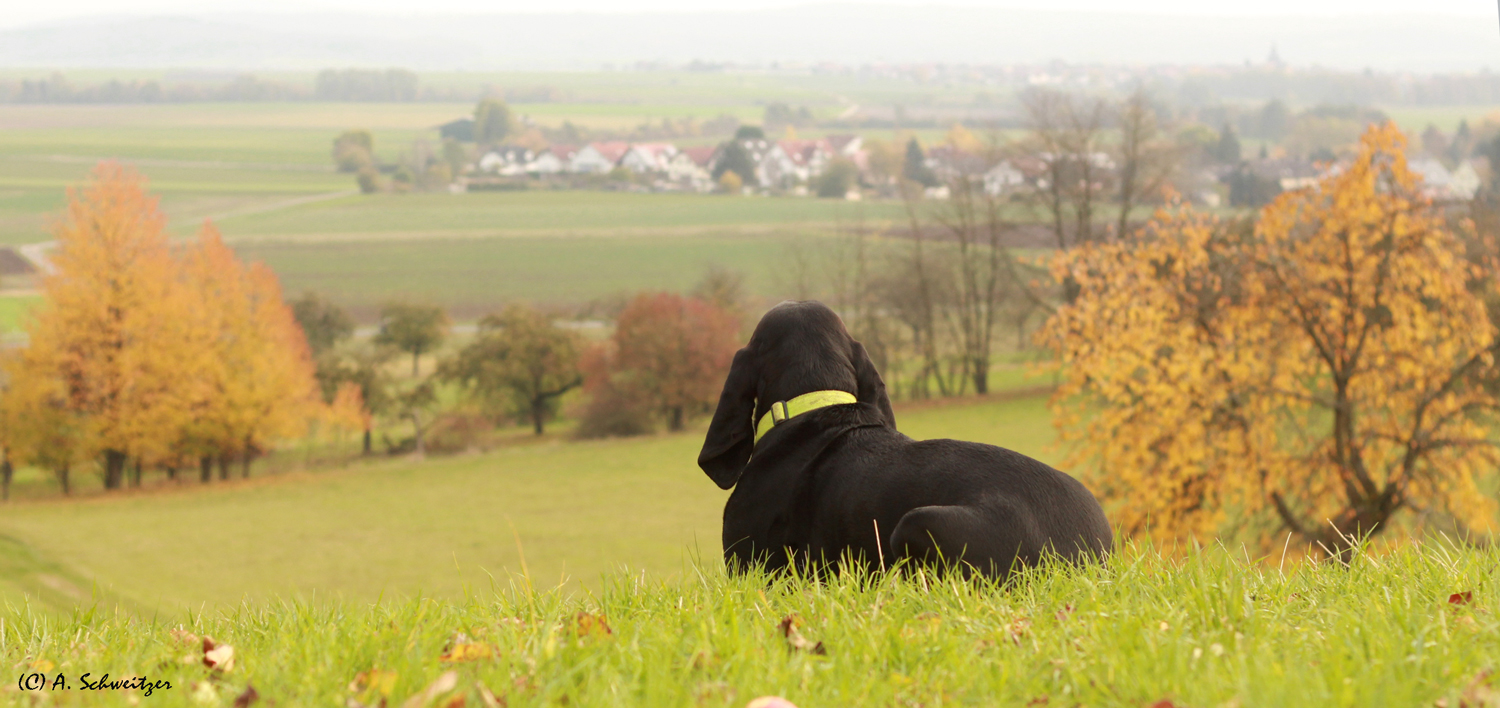 Blick ins Tal