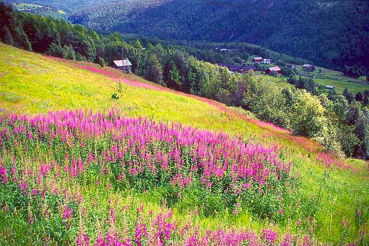 Blick ins Tal