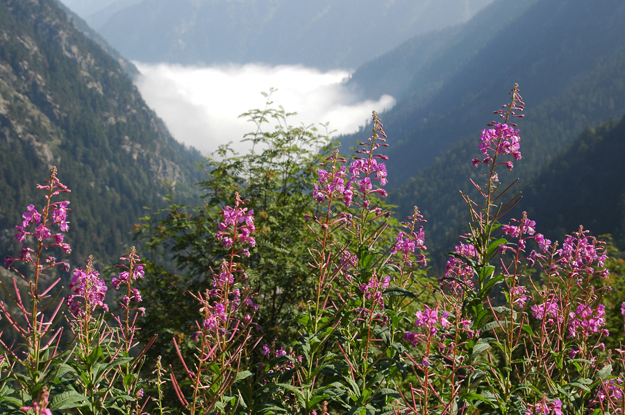 Blick ins Tal