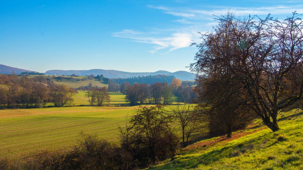 Blick ins Tal der schwarzen Laber