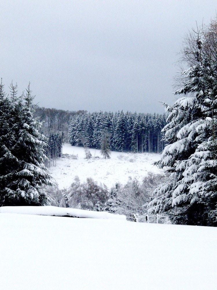 Blick ins Tal