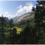 Blick ins Tal (II)