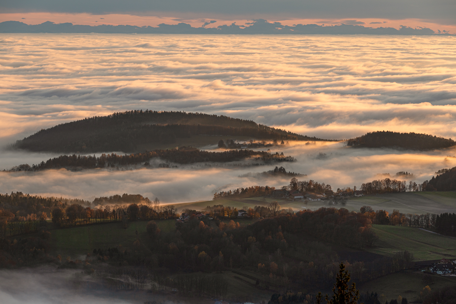 Blick ins Tal in der Abendsonne