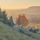 Blick ins Tal - Rottenburg Wurmlingen