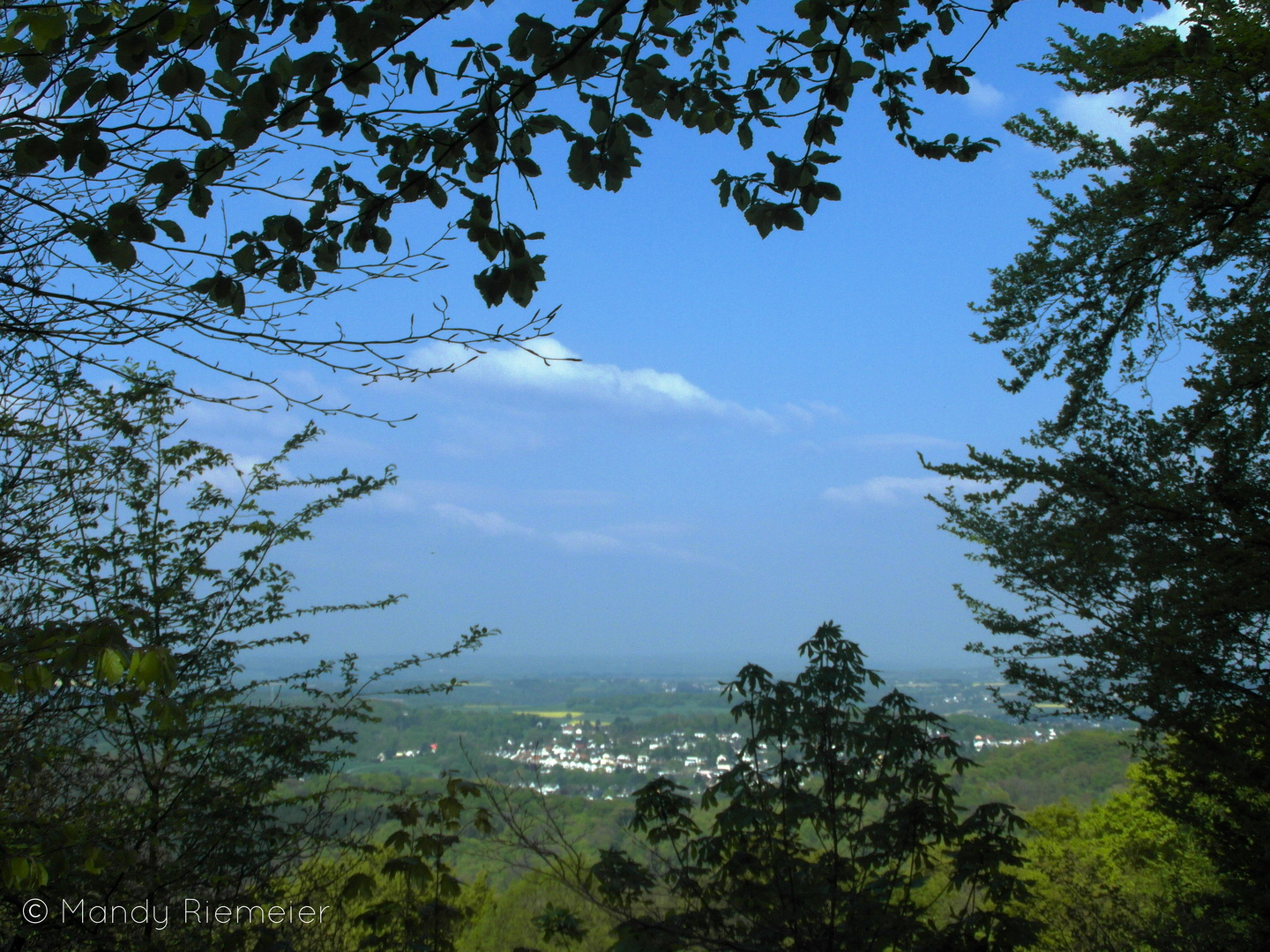 Blick ins Tal vom Petersberg