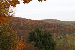 Blick ins Tal vom Schloßgarten aus