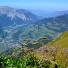 Blick ins Tal von der Wormser Hütte…