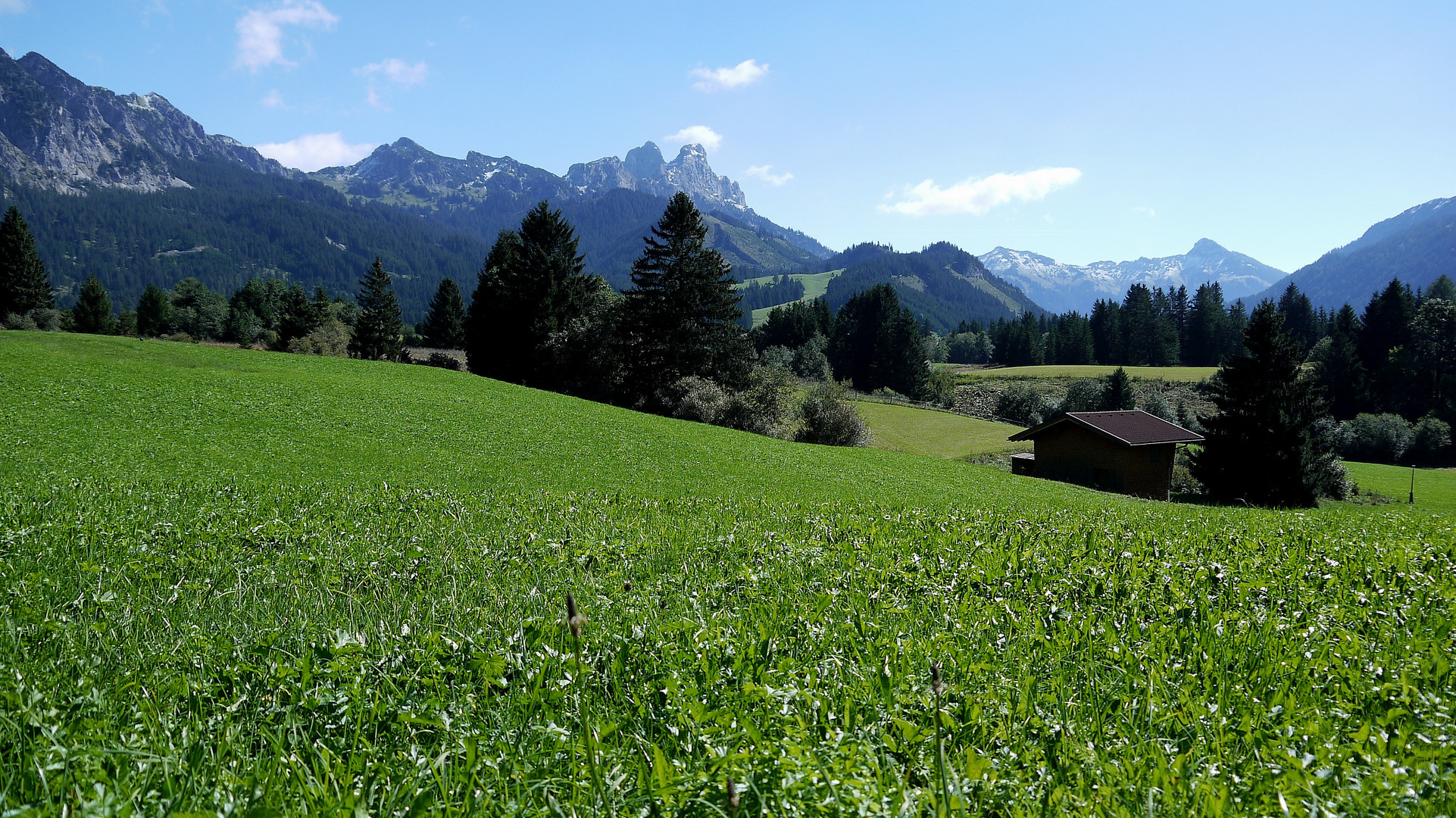 Blick ins Tannheimer Tal...