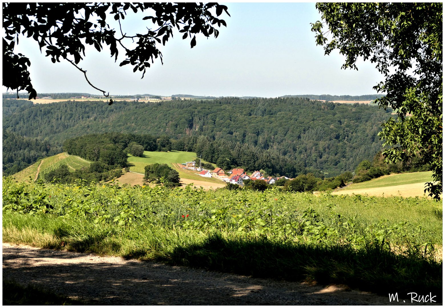 Blick ins Taubertal ,