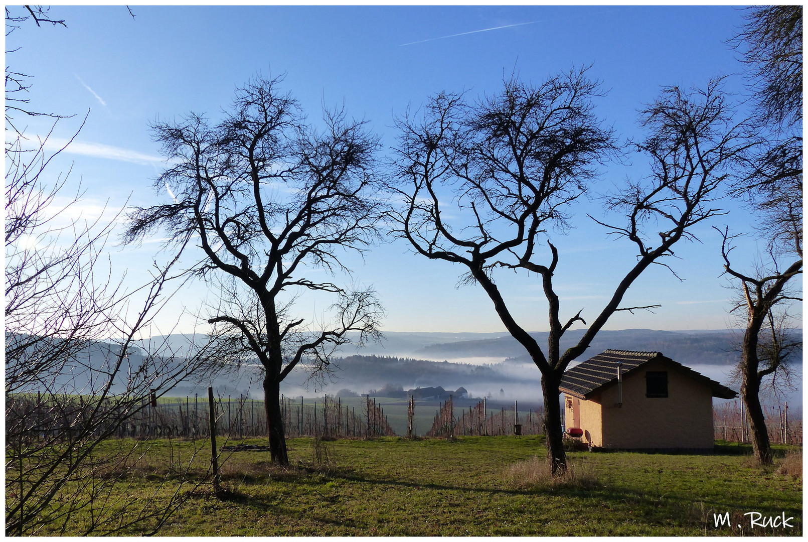 Blick ins Taubertal im Dezember 