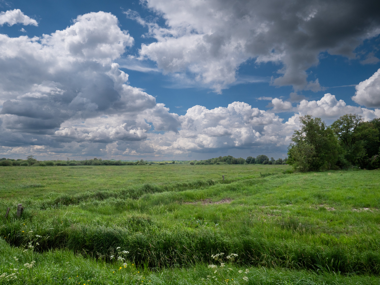 Blick ins Teufelsmoor