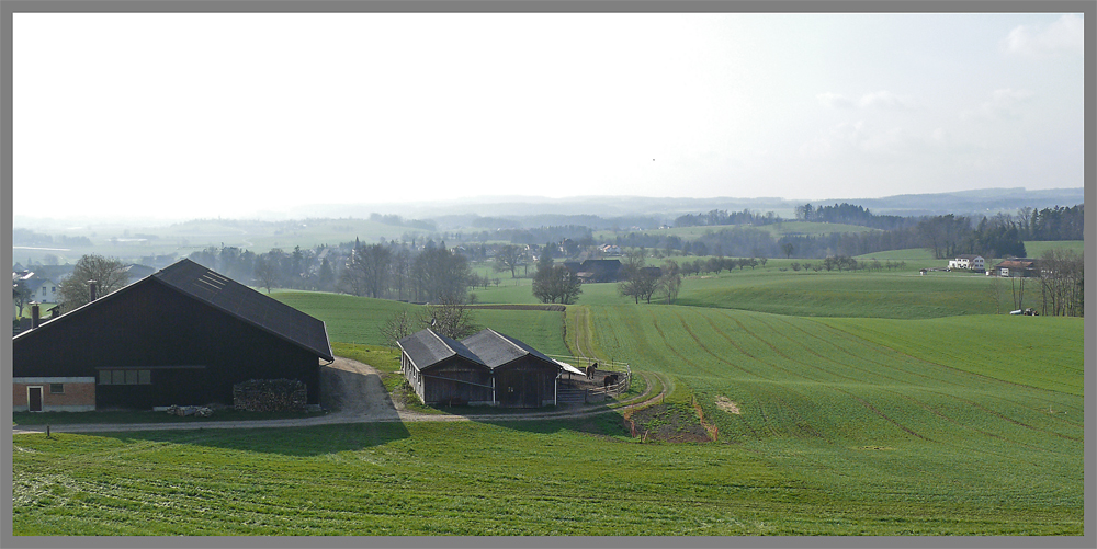 Blick ins Thurtal