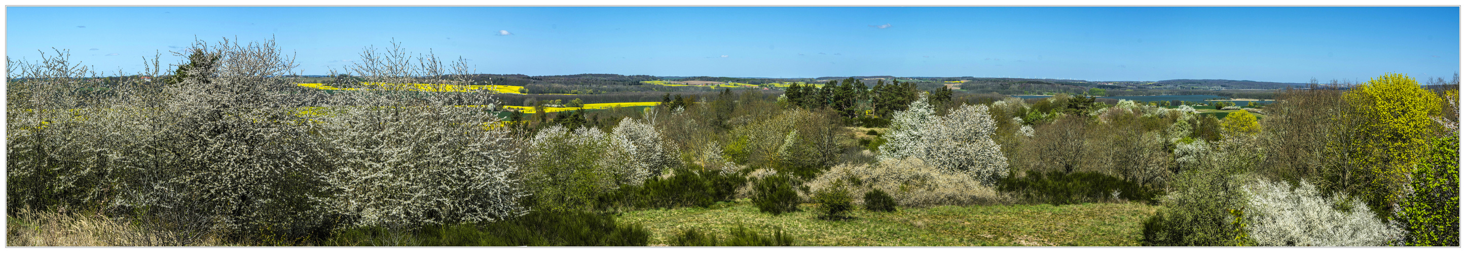 Blick ins Tollensetal