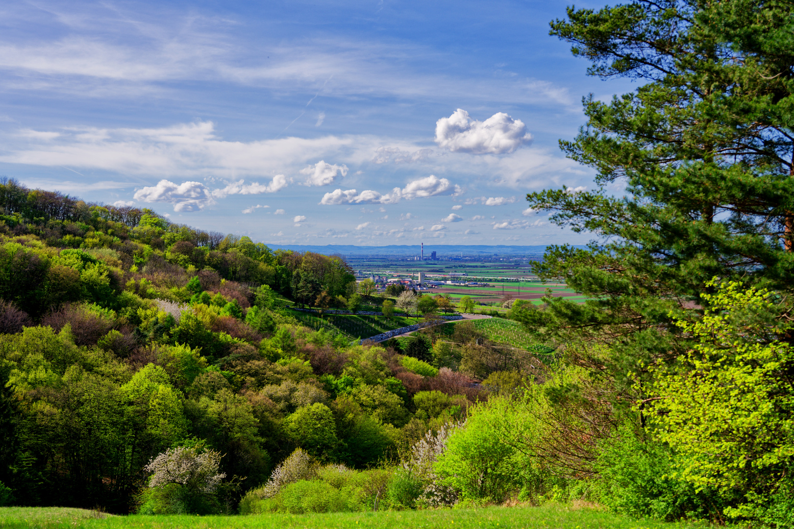 Blick ins Tullnerfeld