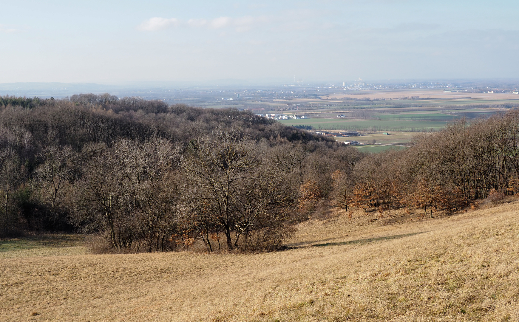 Blick ins Tullnerfeld