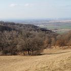 Blick ins Tullnerfeld