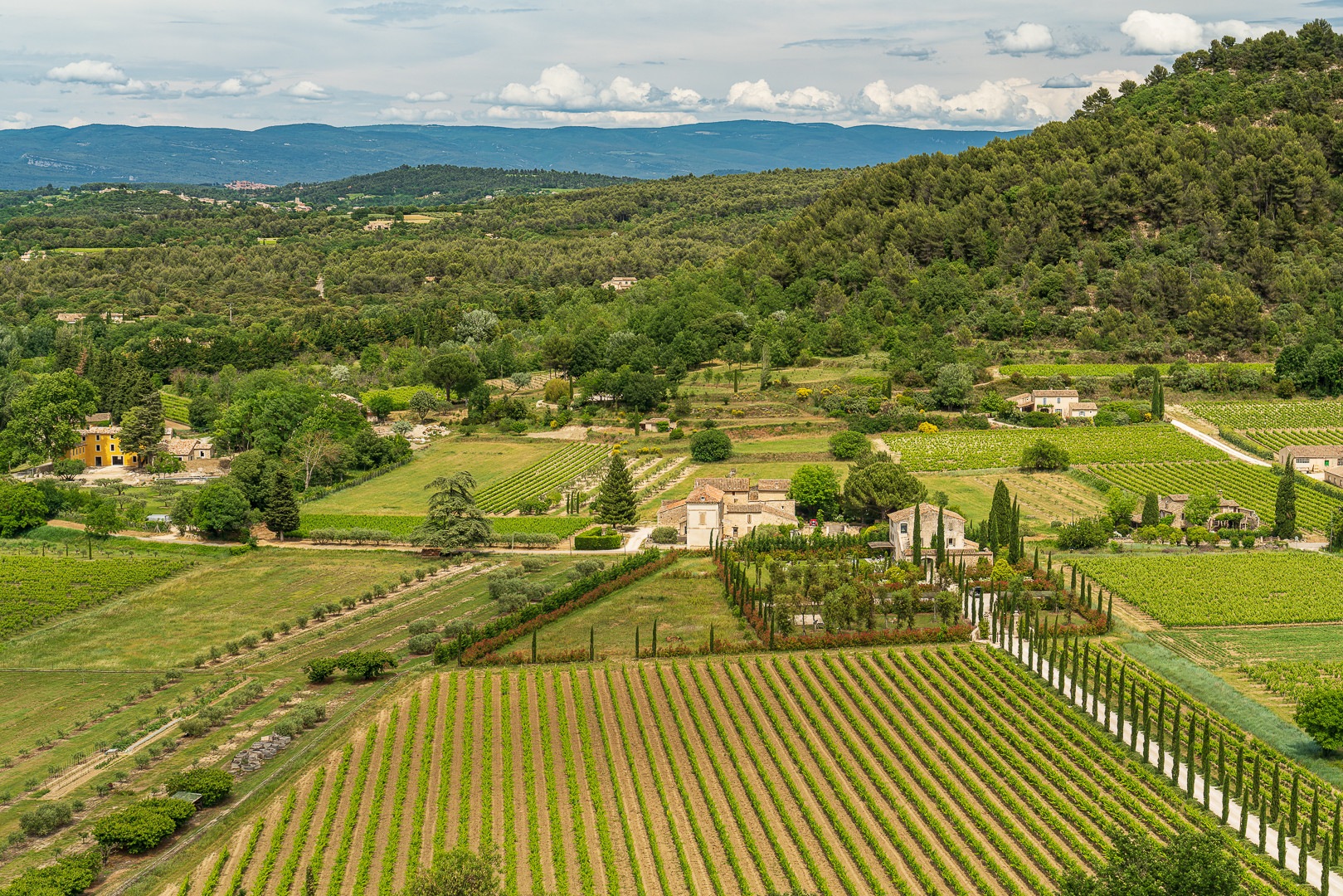 Blick ins Umland von Ménerbes