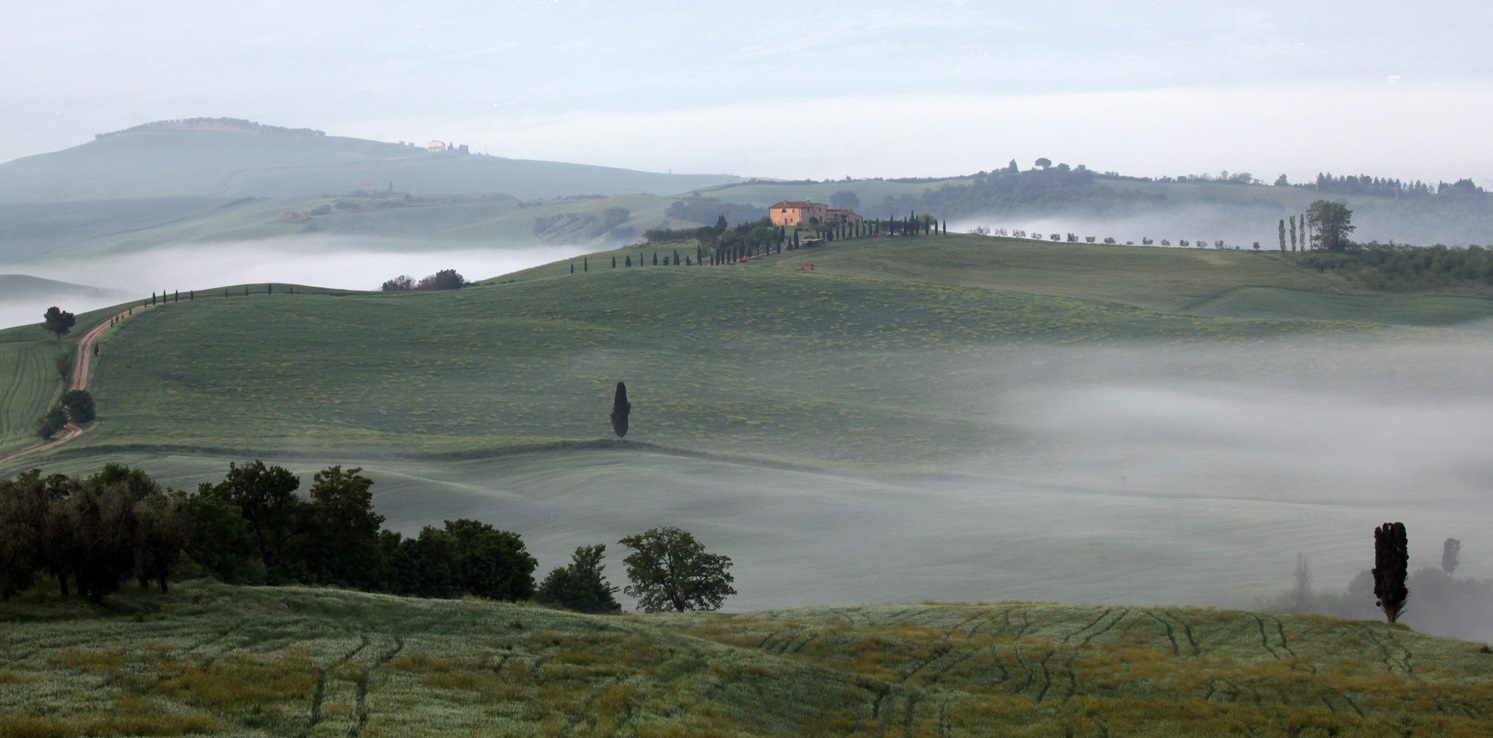 Blick ins val d'Orcia