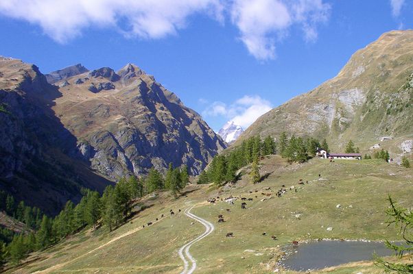 Blick ins Valle Di Chavannes