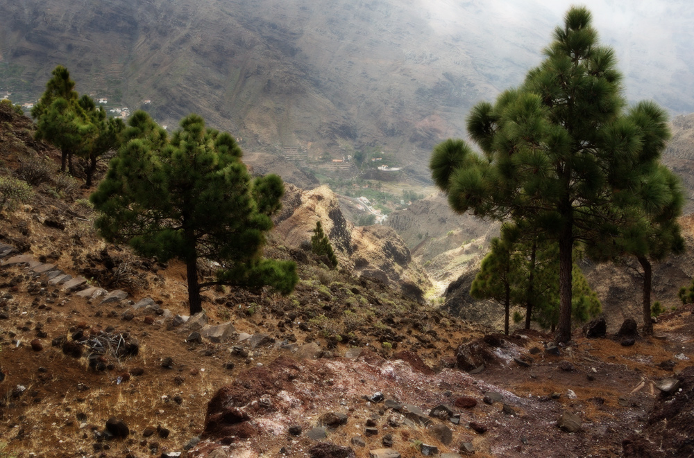 Blick ins Valle Gran Rey, La Gomera